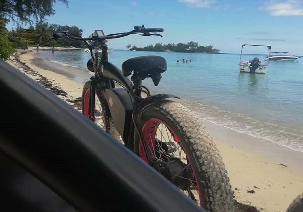 LE RETOUR DU VELO : UNE SOLUTION ECOLOGIQUE