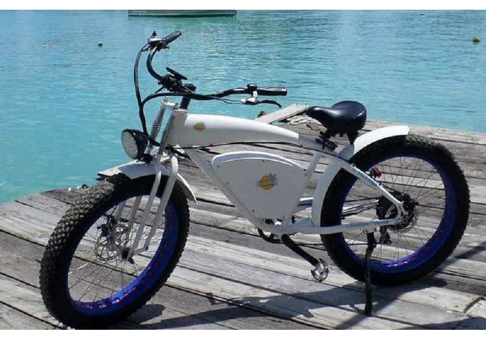 DONNEES TECHNIQUES DU FAT BIKE